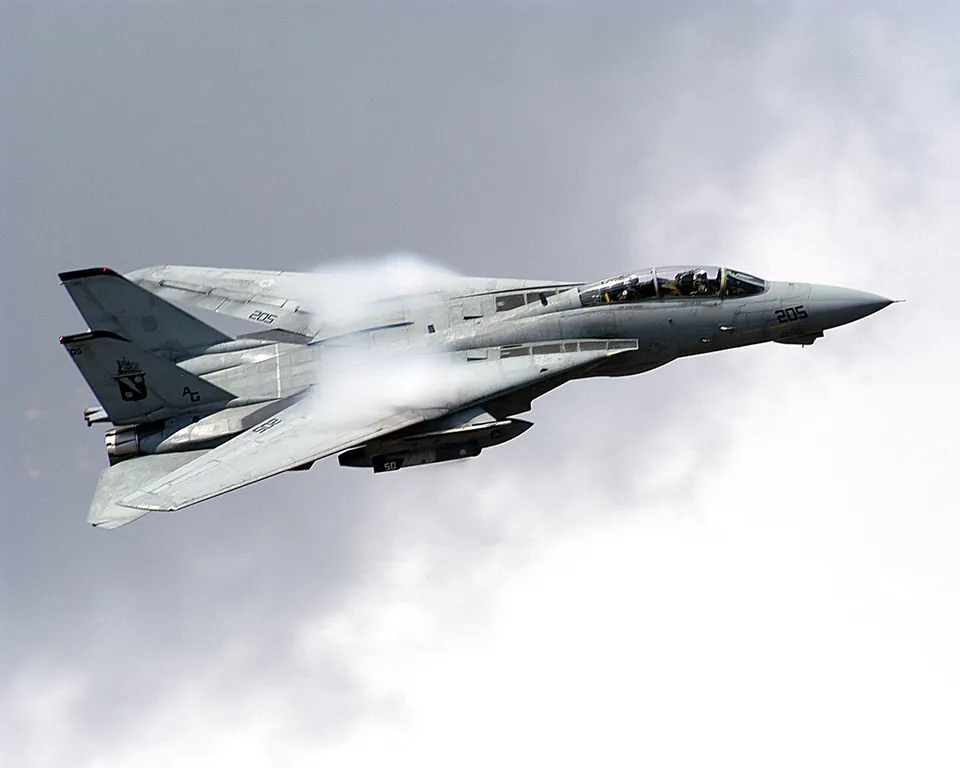 F-14 A/B/B(U) Tomcat